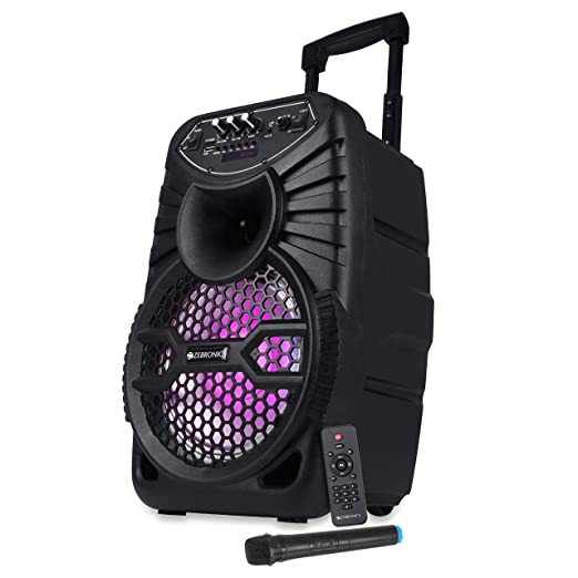 ZEBRONICS PORTABLE TROLLEY SPEAKER THUMP 100